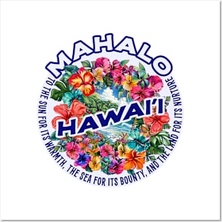 Hawaii Posters and Art